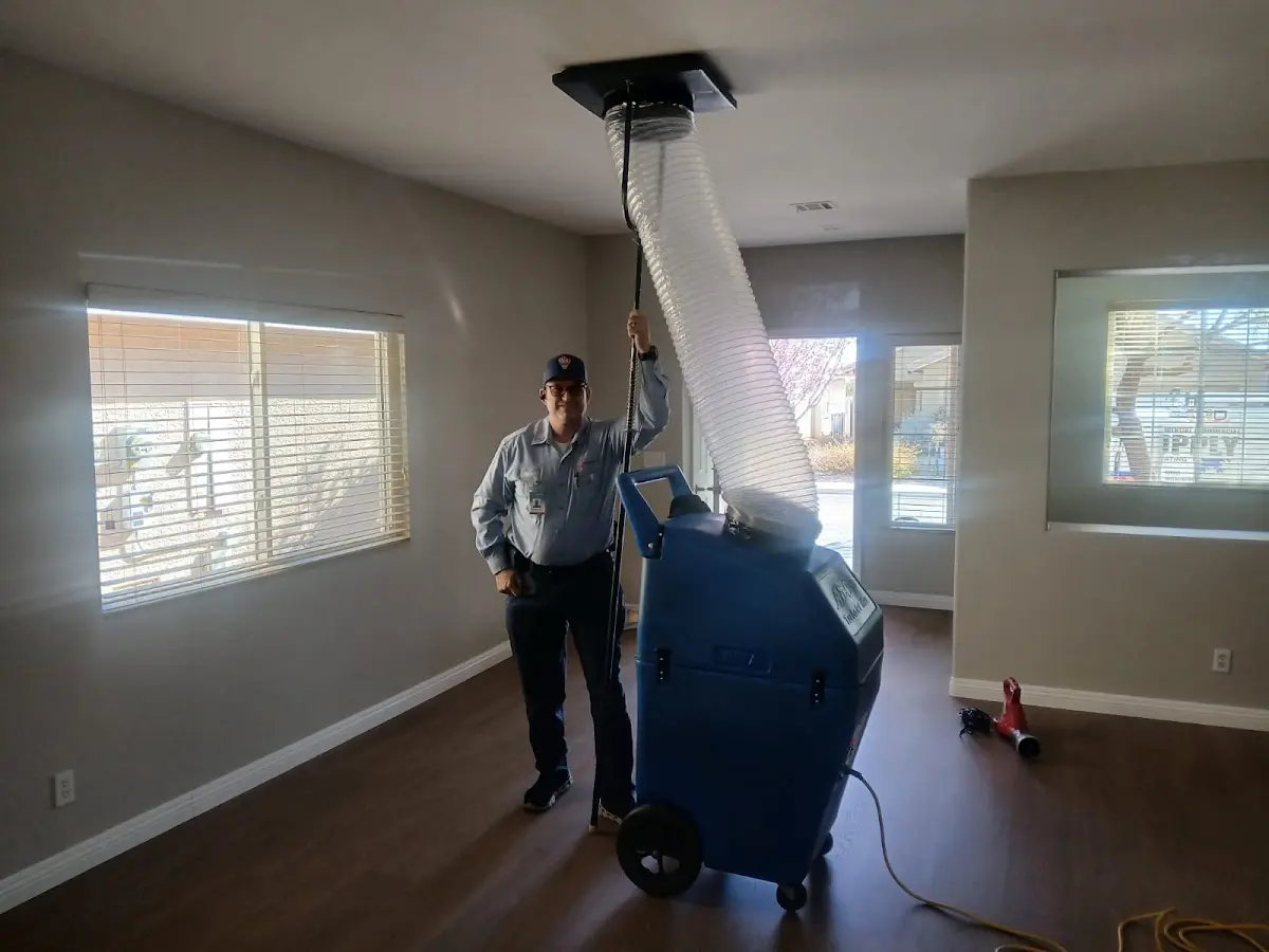 Professional Dryer Vent Cleaning work inside a Newark home